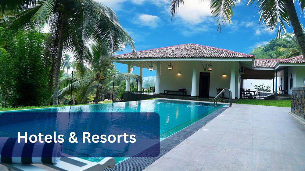 Hotel & Resorts