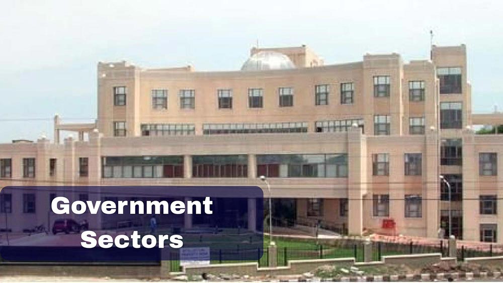 Government Sector